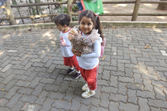 IMG_20230628_142425949_BURST001