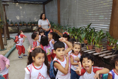 IMG_20230628_144444651