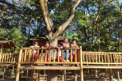 IMG_20230628_154315418_HDR