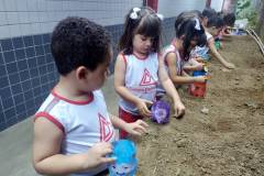 IMG_20251013_152337179_BURST001