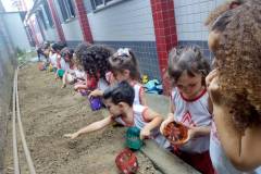 IMG_20251013_152454878