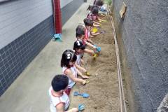 IMG_20251013_152709378