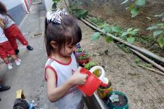 IMG_20251013_161005573