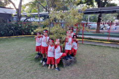 IMG_20230607_165017011