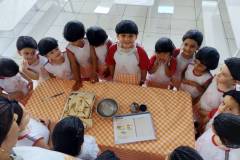 IMG_20260306_141115153_BURST001_TOP