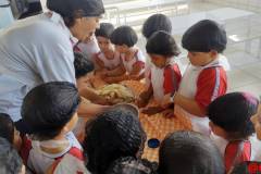 IMG_20260306_141425027