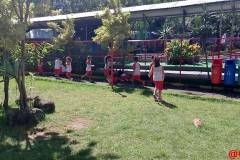 IMG_20260331_134507
