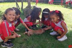 IMG_20260331_135152