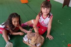 IMG_20260331_142353