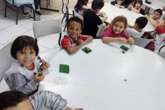 IMG_20250625_155036417_BURST001