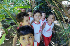 IMG_20231128_132555530