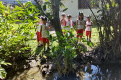 IMG_20231128_132817107_HDR