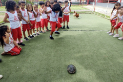 IMG_20231201_142711201