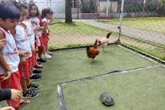 IMG_20231201_142810235