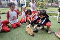 IMG_20231201_143104941_BURST002