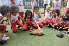 IMG_20231201_143111115_BURST000_COVER_TOP