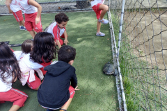 IMG_20231201_143310872