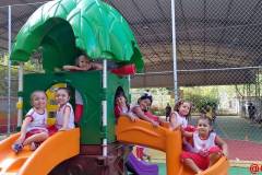 IMG_20250210_162452
