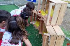 IMG_20260303_161524