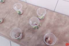 IMG_20251103_132302356