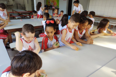 IMG_20230616_142029982_BURST001