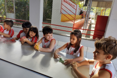 IMG_20230616_142034282_BURST001