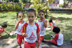 IMG_20231106_135256279_BURST001
