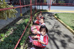 IMG_20231106_135602734_BURST001