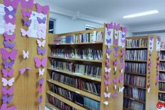 IMG_20211207_120803719-1024x576