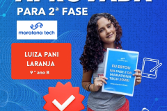 SIMULADOS - 2025 (1080 x 1350 px) - 96