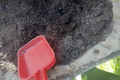 IMG_20230605_141519080_BURST012