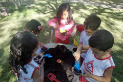 IMG_20230605_141729721