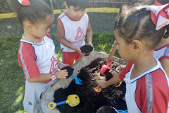 IMG_20230605_142102529_BURST001