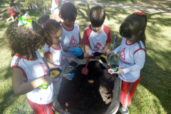 IMG_20230605_142425877