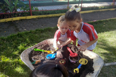 IMG_20230605_142748344_BURST001