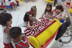 IMG_20230518_164217203_BURST001