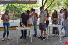 IMG_20231111_112509118