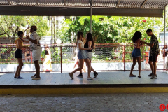 IMG_20231111_090809207