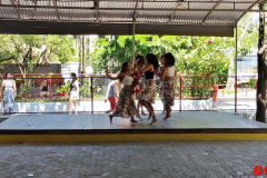 IMG_20231111_092419591