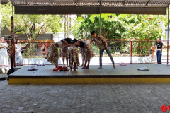 IMG_20231111_092530991