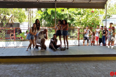 IMG_20231111_090944386