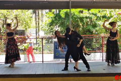 IMG_20231111_104338286