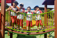 IMG_20230927_135834056_BURST001