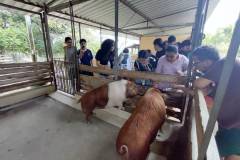 IMG_20251030_141919807