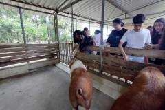 IMG_20251030_141937051