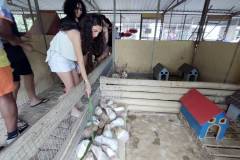 IMG_20251030_142157406