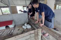 IMG_20251030_142301337