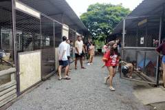 IMG_20251030_142427361