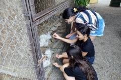 IMG_20251030_142601832_BURST001