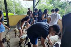 IMG_20251030_143439003